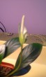 20170122_135444.jpg