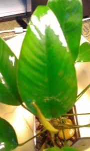 20170122_135733.jpg