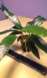 20170122_135905.jpg