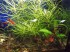 DSCF2390.JPG