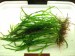 DSCF2786.JPG