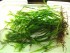 DSCF2791.JPG