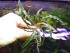 DSCN4695.JPG