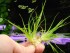 DSCN4723.JPG
