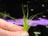 DSCN4726.JPG