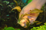DSC_0946.jpg