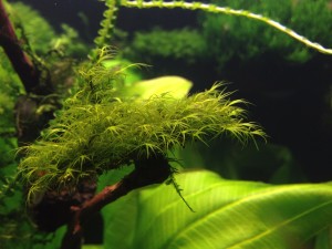IMG_1202.JPG