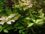 IMG_20161226_154044.jpg