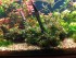 IMG_20170120_171024.jpg