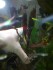 IMG_20170123_160004.jpg