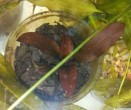IMG_20170123_192448.jpg
