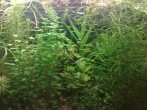 copy_139_030720161590.jpg
