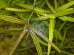 copy_162_080620161539.jpg