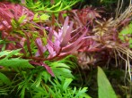 copy_320_IMG_20161214_175155.jpg