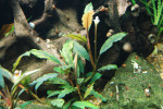 copy_326_004-2.jpg