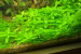 copy_458_copy_729_copy_99_DSC_0503.jpg