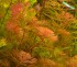 copy_518_copy_557_copy_890_01-5.jpg