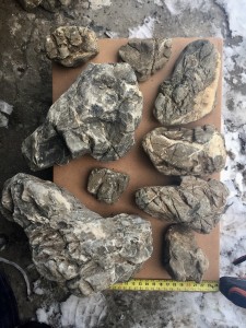 copy_933_2017-01-14-16.12.07.jpg