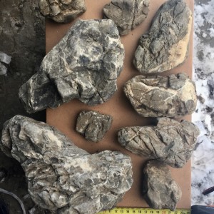 copy_933_2017-01-14-16.12.07.jpg
