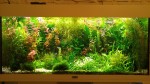 20161230_110018.jpg