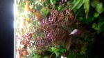 20170208_180034.jpg