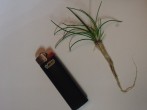 20170211_171616.jpg