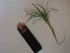 20170211_171616.jpg