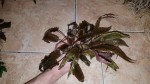 20170212_201143.jpg