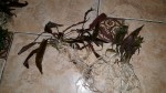 20170212_201203.jpg