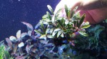 20170226_143948.jpg