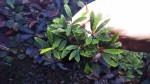 20170226_144007.jpg