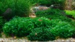DSC04118.JPG
