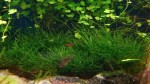 DSC04120.JPG