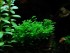 DSC05505.JPG