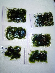 IMG_20170126_200820[2].jpg