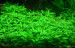 copy_590_tmp_21048-FB_IMG_1480436798373-982131874.jpg