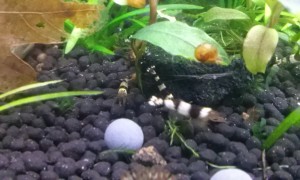 copy_930_CAM01748.jpg
