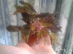 20170301_135317.jpg