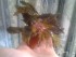 20170301_135317.jpg