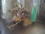 20170301_135409.jpg