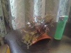 20170301_135421.jpg