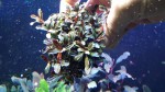 20170305_140452.jpg