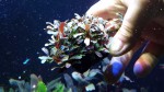 20170305_140458.jpg