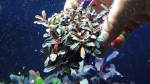 20170305_140508.jpg