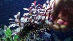 20170305_142107.jpg