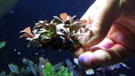 20170305_144416.jpg