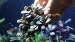 20170305_144433.jpg