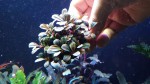 20170305_144523.jpg