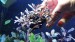 20170305_151957.jpg