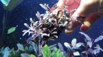 20170305_152004.jpg